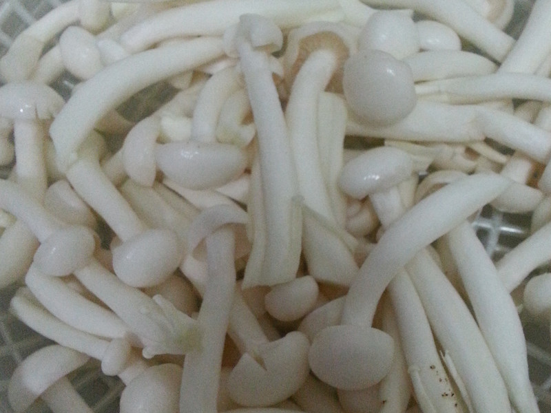 �ʹ��ƽ�����Ƕ���@��̫����������