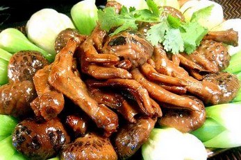 ���������Ƶ�����