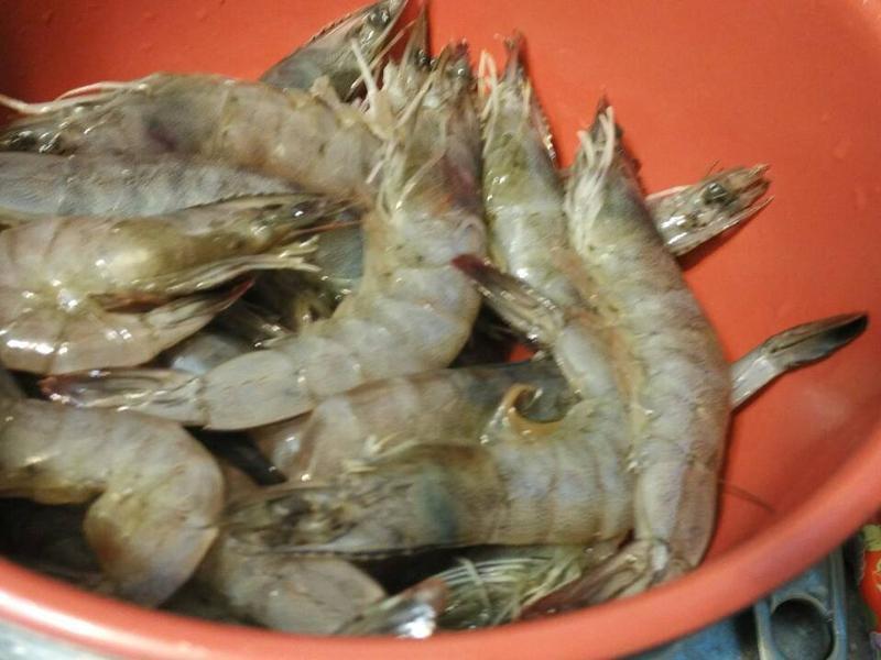 ʮ������ʧ�� �����ɳ�Ϻţͷ�ƿ�����ʳ��������