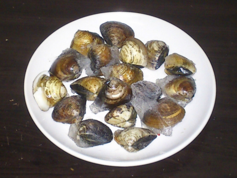 ����˿�� 02 Ϲ��!����Ҳ������!̫������!������