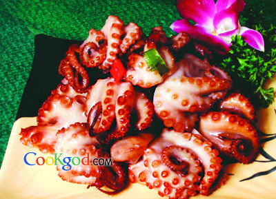 ��Ѭ��צ�������