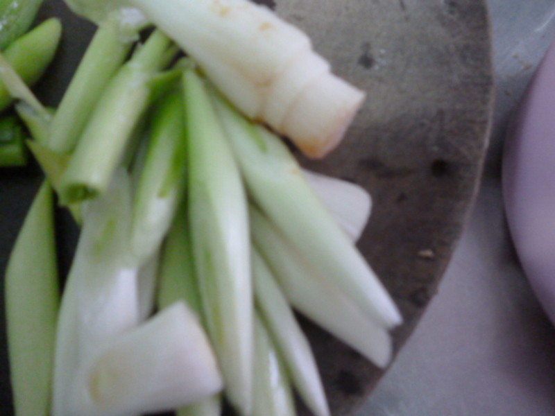 [�������������ζ���ָ�����]�������������