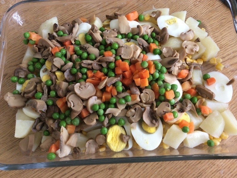 ���Ϳ��������