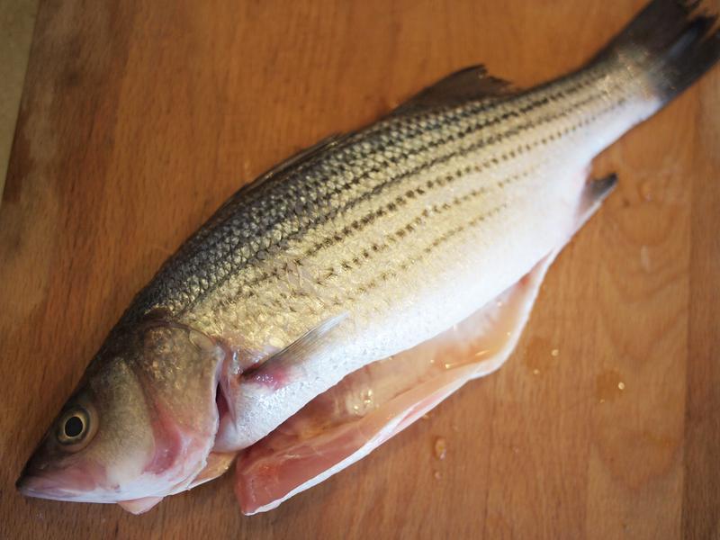 �Ϸ�������������