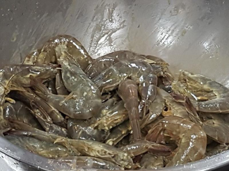 ���β�Ϻ������