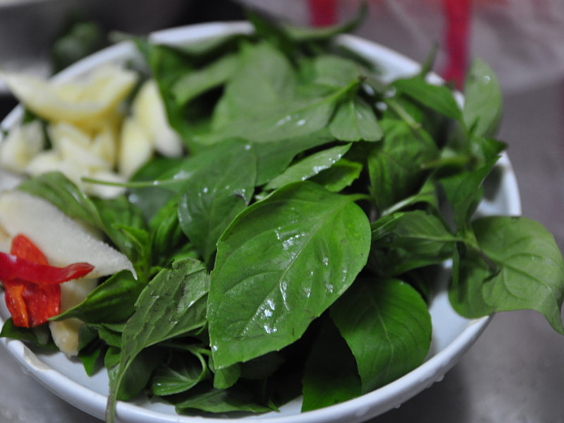 �������󳦵�����