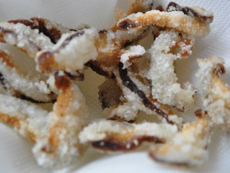 ���������� �ƽ���10���ӳ���ˡ����㽷�����㹽������