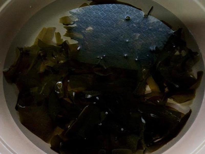 ����������ζ����������