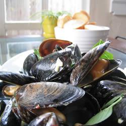 ̩ʽ���ݱ�������