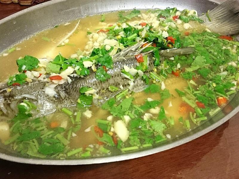 �򵥵��Ҹ���̩ʽ���������������