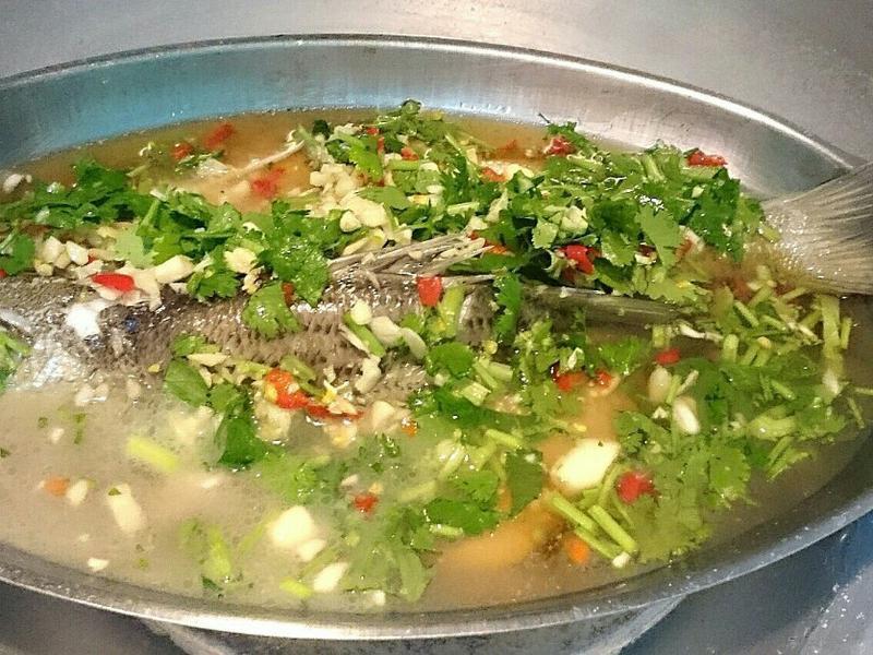 �򵥵��Ҹ���̩ʽ���������������