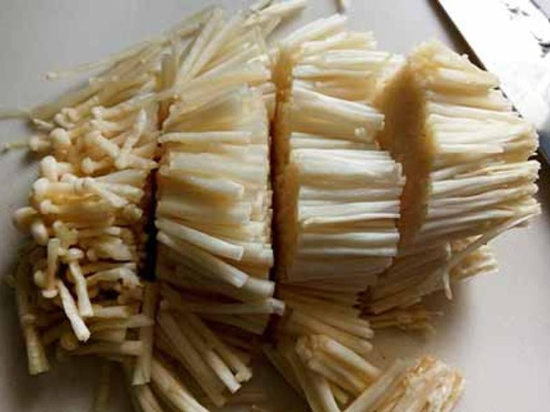 �ں�������������������