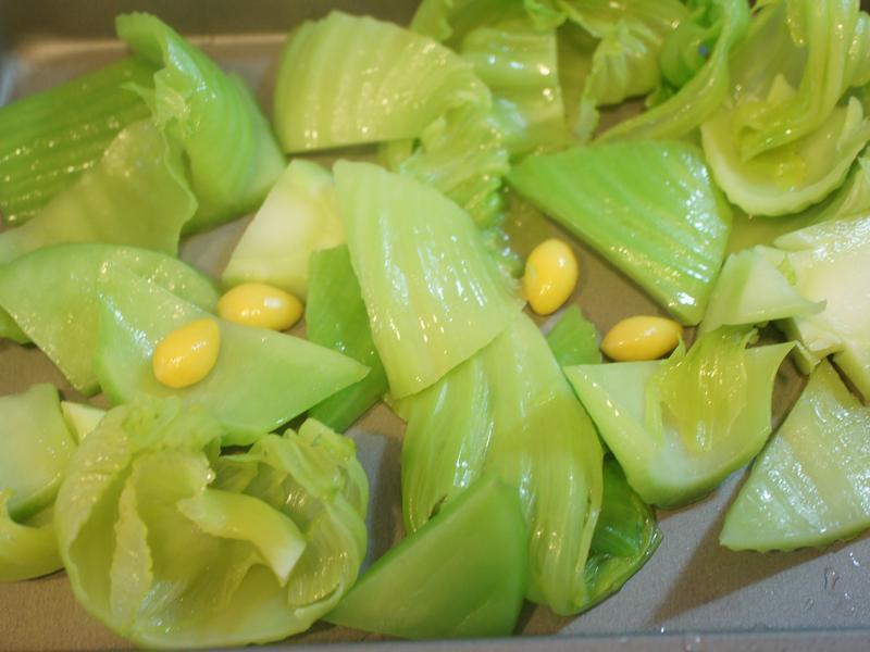 ���-������ʱ���HOLA�Ҹ�ʳ�á�������