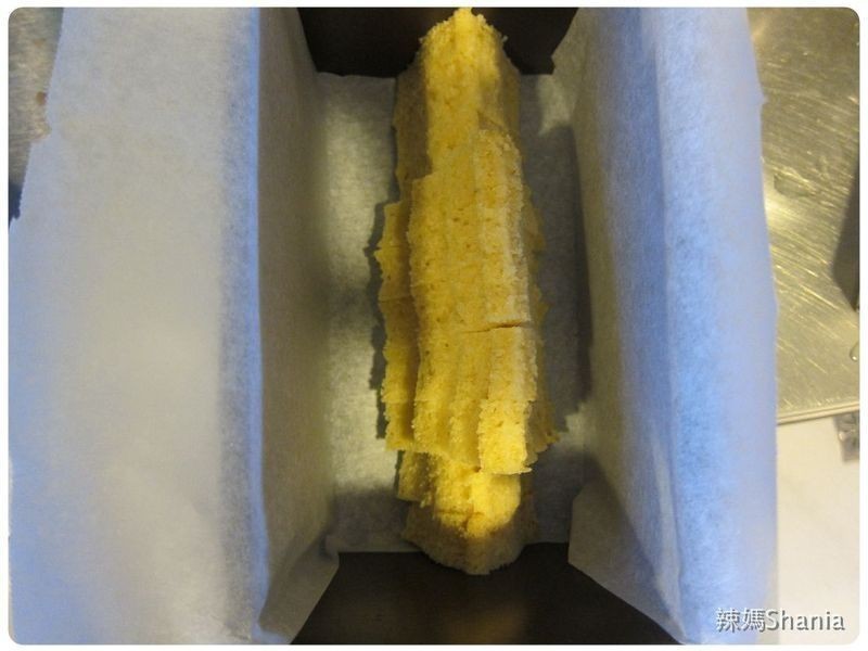 �ɰ���ʥ���������������