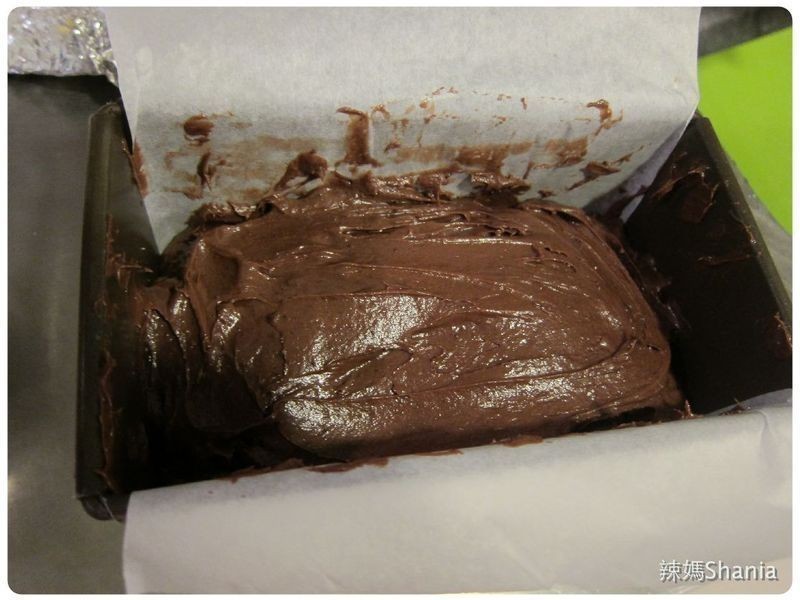 �ɰ���ʥ���������������