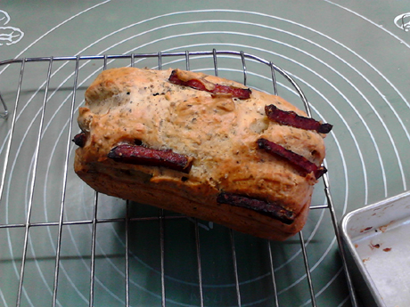 �ڽ�ţ�⳦֥ʿ�̵��������