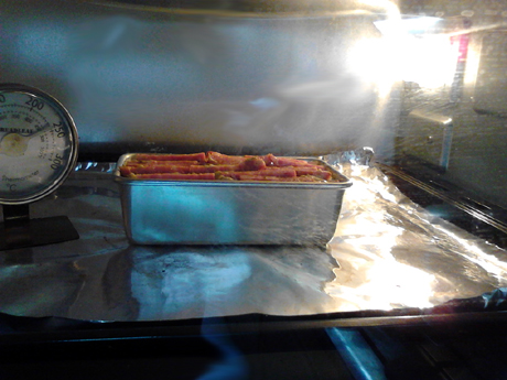 �ڽ�ţ�⳦֥ʿ�̵��������