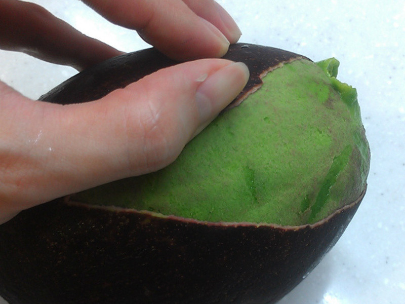 ������ɳ�׵�����