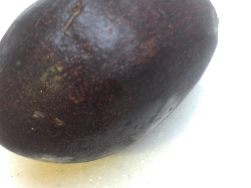 ������ɳ�׵�����