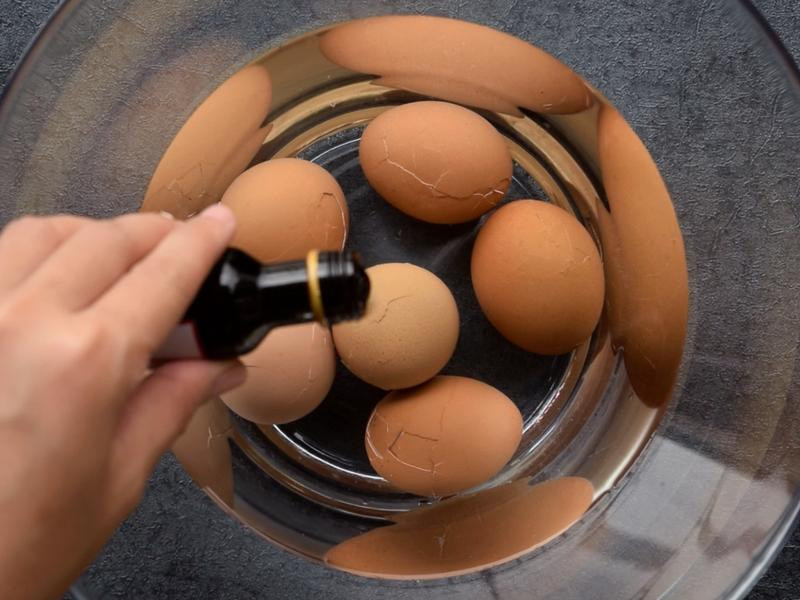 ��ʥ������ħ����������