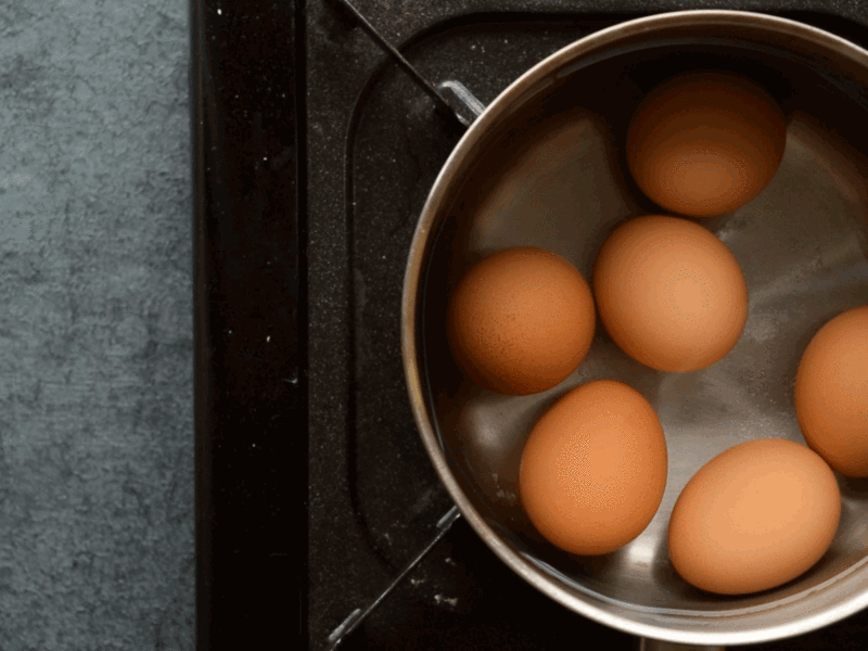 ��ʥ������ħ����������