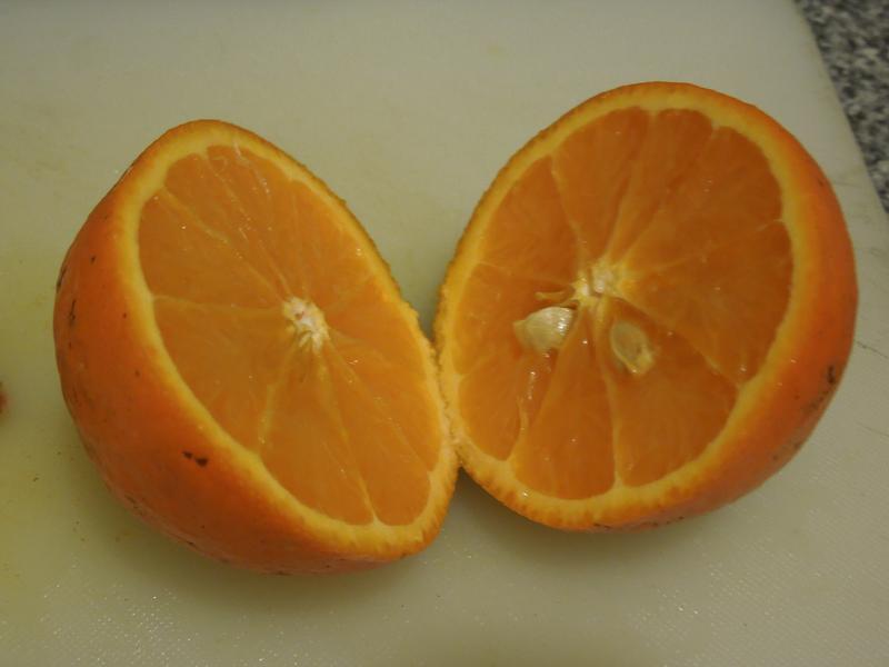 �����������ɳ��������