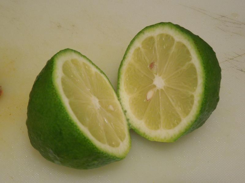 �����������ɳ��������