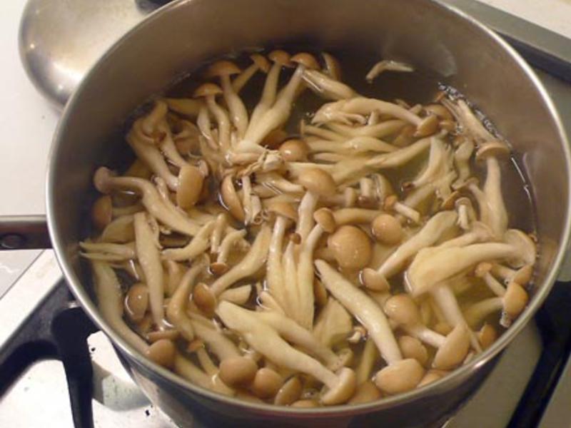 �����������ײ� ������������� 9������