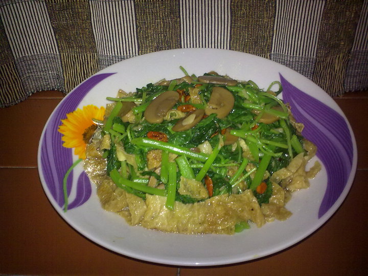 Ģ����֧���Ȳ˵�����