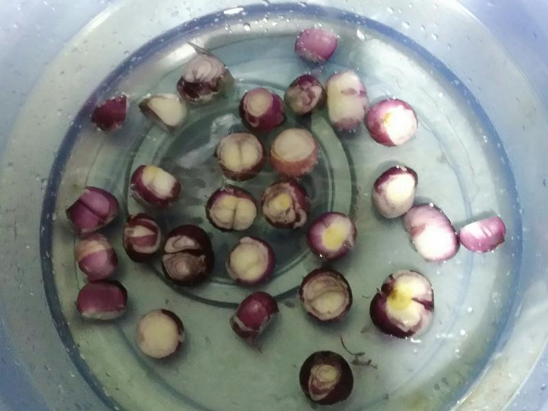 ը�ʹ�մ��������