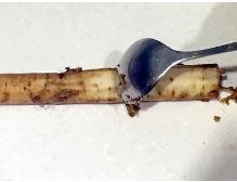 ţ���u�� ����������������