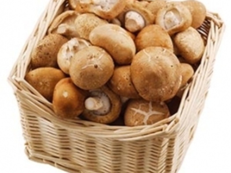 ��Ƥ��������������