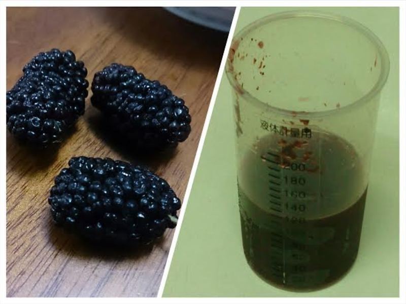 ɣ���˾������������������