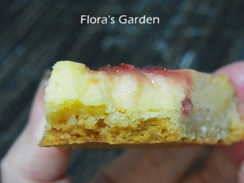 ���ӹ�����ݮ������������