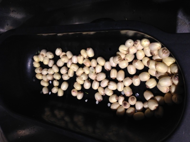 ����cafe-������Ʒ��ľ��������������