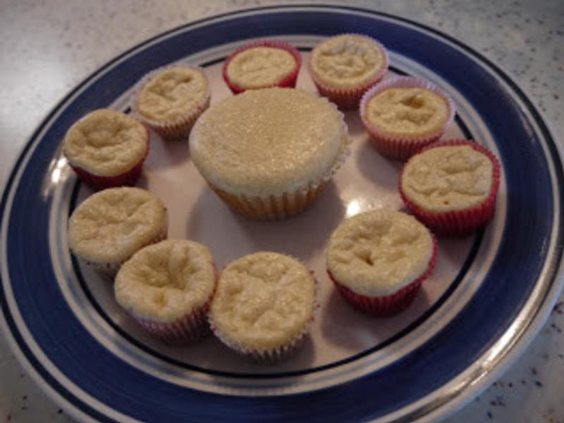 �������ʿС���������