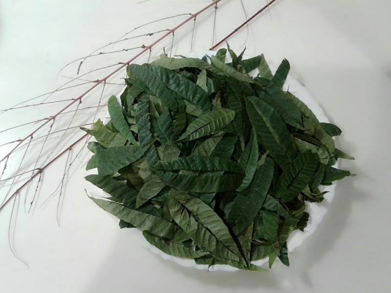 �㴻��������