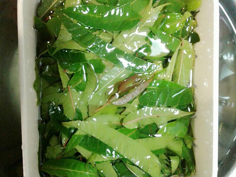 �㴻��������