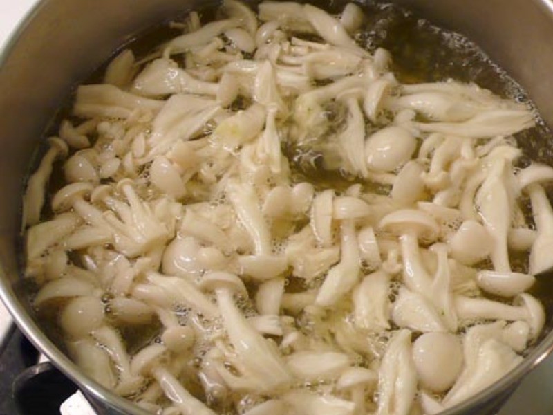 ����֥�齴���߲� ���Ʒ�ɳ��5��������