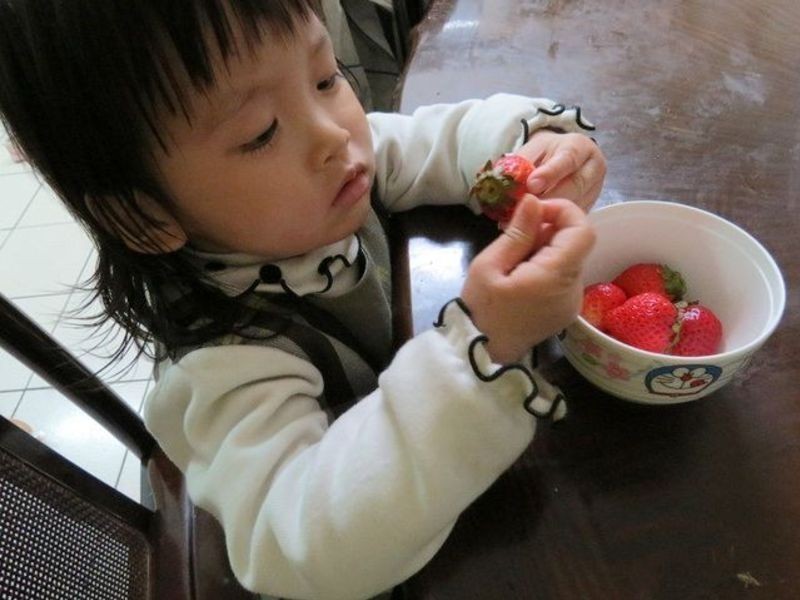 ��ݮ�Ͱ�ӥ������ ��ݮ����������