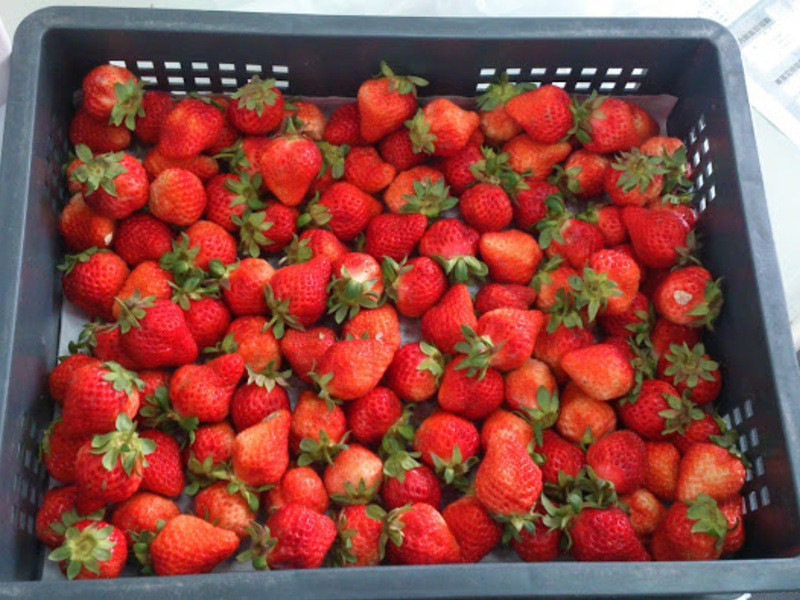 ��ݮ���������