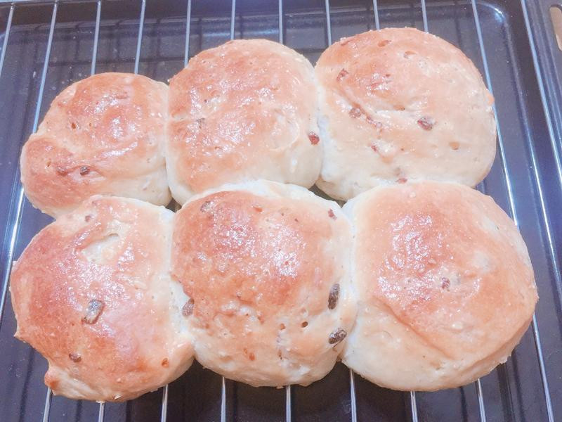 ���������ѸɲͰ�������