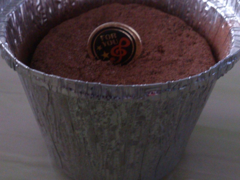 ��¶�ɿ�������(�����)������