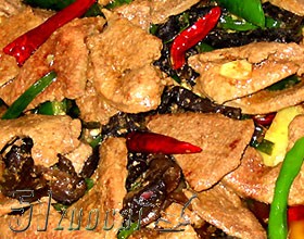 ��ľ�������ε�����