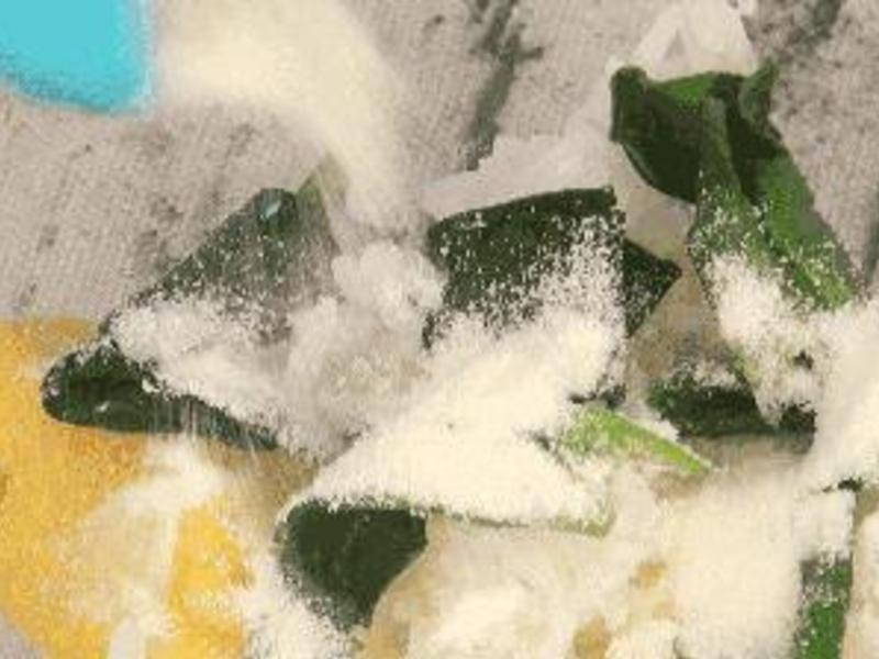 �������㲤���������