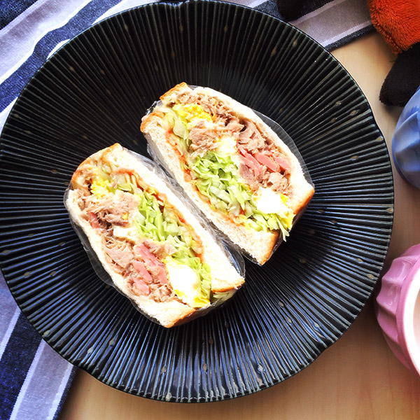 INS���Ⱥ��������-�������������ڶ����ܰ���Ŷ������