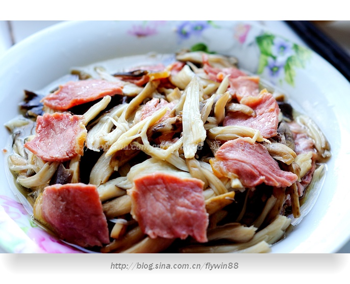 ���������ȵ�����