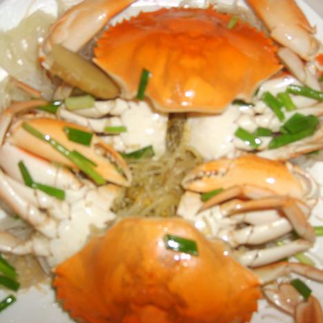 ��˿���������