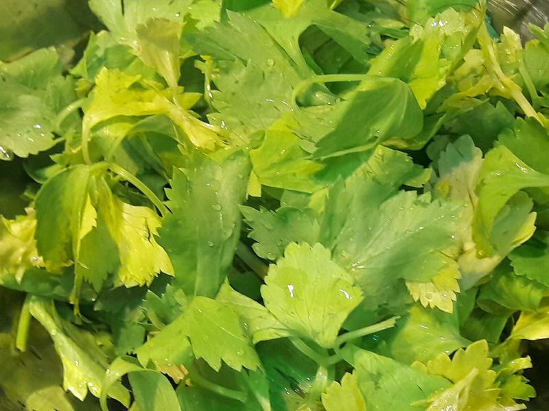 ��Ϻ�����������