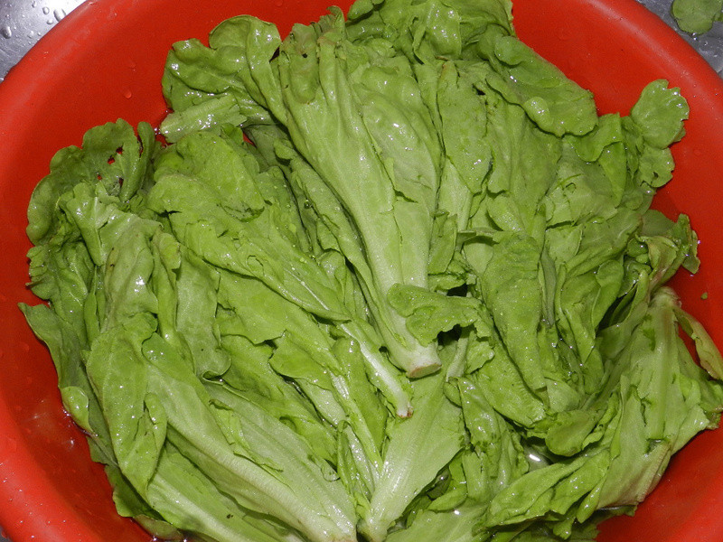 ������Բ�׷۵�����